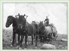 Bauer Brohl - In Erinnerung an die Erntezeit im Oktober 1937